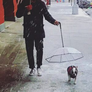 Transparent Dog Umbrella with Leash Handle