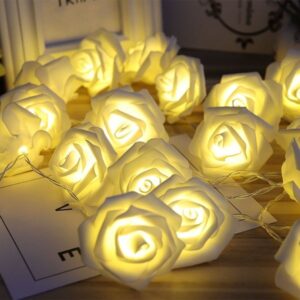 DC Operated Romantic Rose LED String Lights