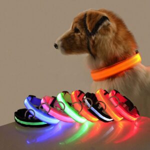 LED Glow Collar for Dog Safety at Night